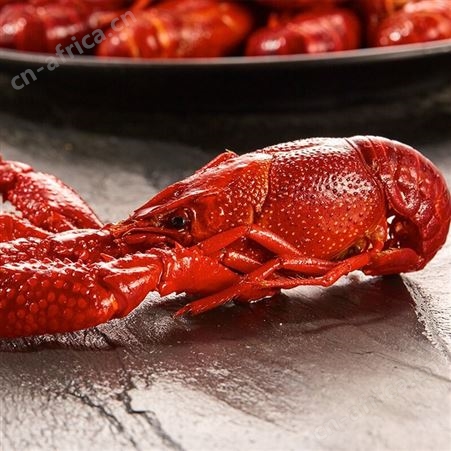 鱻谣麻辣味小龙虾750g/盒熟食加热即食鲜虾麻辣香大虾活龙虾