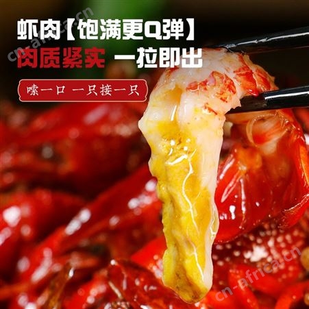 【买1送1】麻辣小龙虾鲜活制作蒜蓉味特大小龙虾加热即食盒装熟食