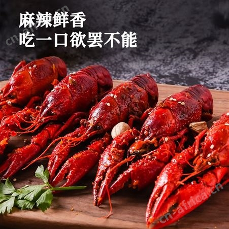 【买就送虾尾】2022新虾洪湖渔家麻辣小龙虾3-5钱整虾800g*2盒