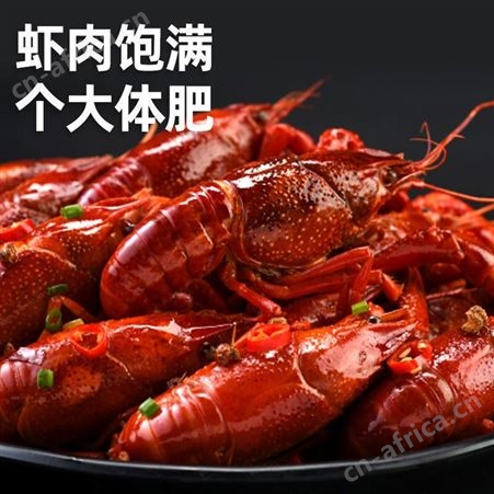 麻辣小龙虾加热即食熟食蒜香十三香真空盒装龙虾鲜活-18℃冷冻180