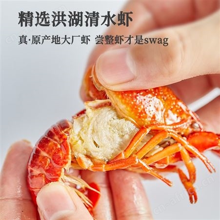 【买就送虾尾】2022新虾洪湖渔家麻辣小龙虾3-5钱整虾800g*2盒