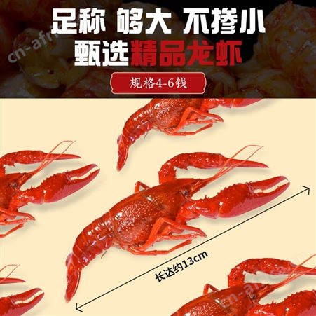 【买1送1】麻辣小龙虾鲜活制作蒜蓉味特大小龙虾加热即食盒装熟食