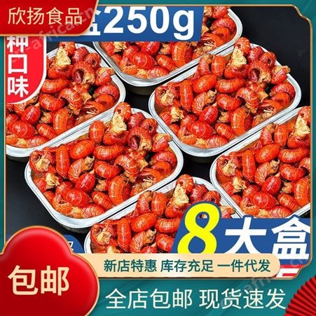 麻辣龙虾熟食海鲜小龙虾即食香辣龙虾尾鲜活冷冻虾尾250g盒装