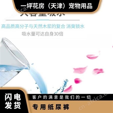 防水纸 乐事宠公狗尿裤L（全渠道） 片 大 多 三年 类型齐全