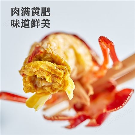 【买就送虾尾】2022新虾洪湖渔家麻辣小龙虾3-5钱整虾800g*2盒