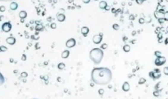 自由水和结合水核磁共振 自由水和结合水核磁共振