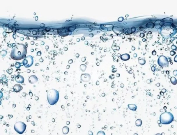 低场核磁中的自由水与结合水