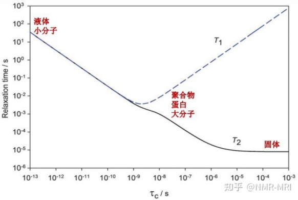 低场核磁中的自由水与结合水