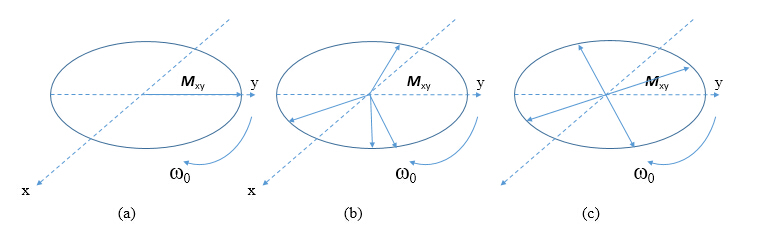 低场核磁共振横相弛豫时间