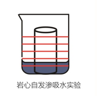 自发渗吸分层含水率-低场核磁共振技术 自发渗吸分层含水率-低场核磁共振技术
