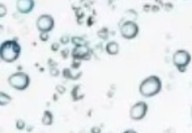 低场磁共振中结合水和自由水