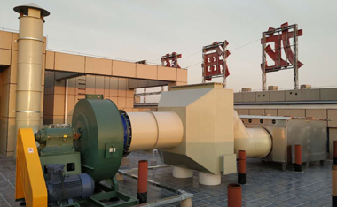 生物除臭箱厂家