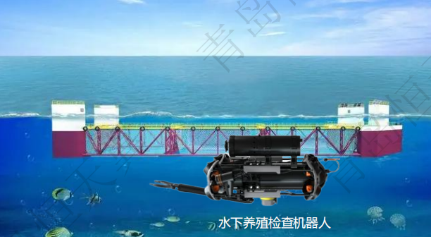 智慧渔业03.png
